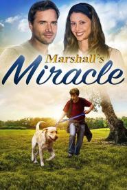 Marshalls Miracle